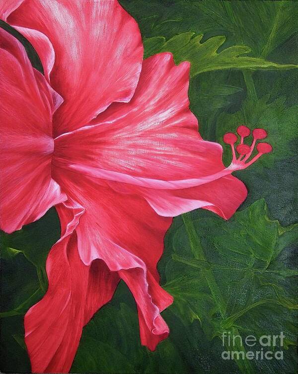 Red Flowers Art Print featuring the painting Red Hibiscus by Mary Deal
