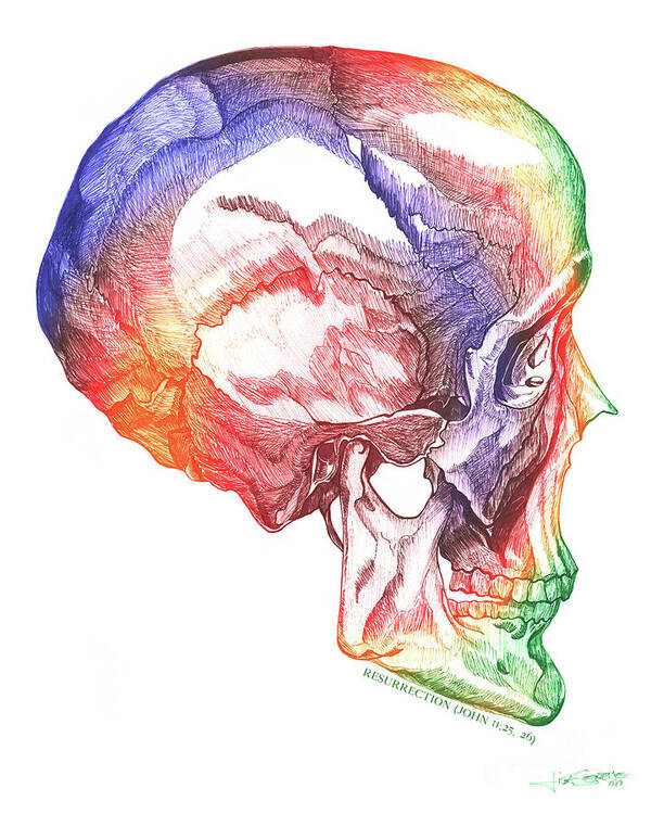 Multi-color Art Print featuring the drawing Ressurection-Multi-color Skull by Lisa Senette