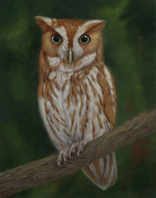 Bird Art Art Print featuring the painting Screech Owl by Monica Burnette