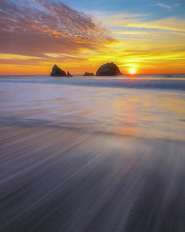  Art Print featuring the photograph Seal Rock by Louis Raphael