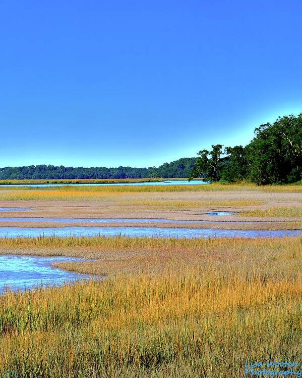 South Carolina Lowcountry Hdr Vertical 2 Art Print featuring the photograph South Carolina Lowcountry Hdr Vertical 2 by Lisa Wooten