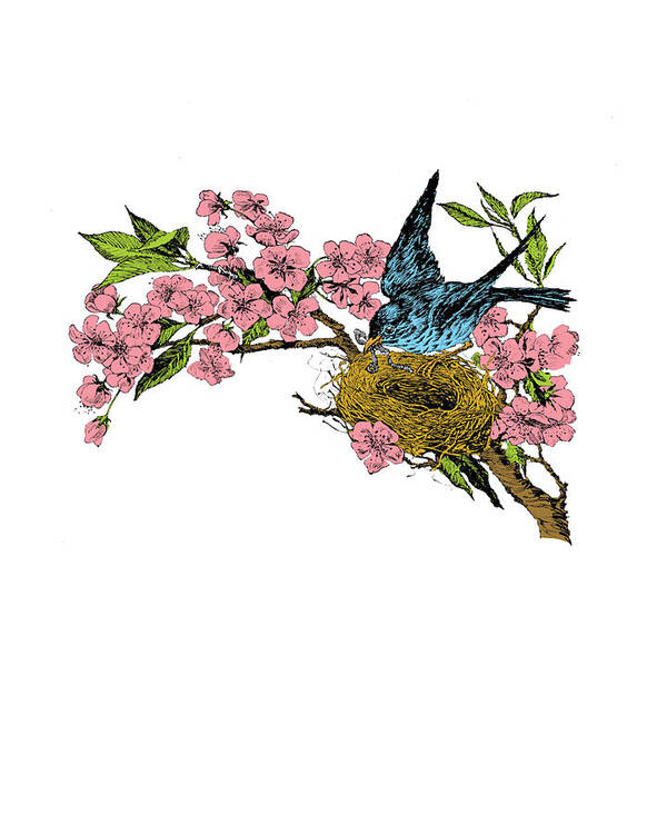 Bird Art Print featuring the digital art Springtime by Madame Memento