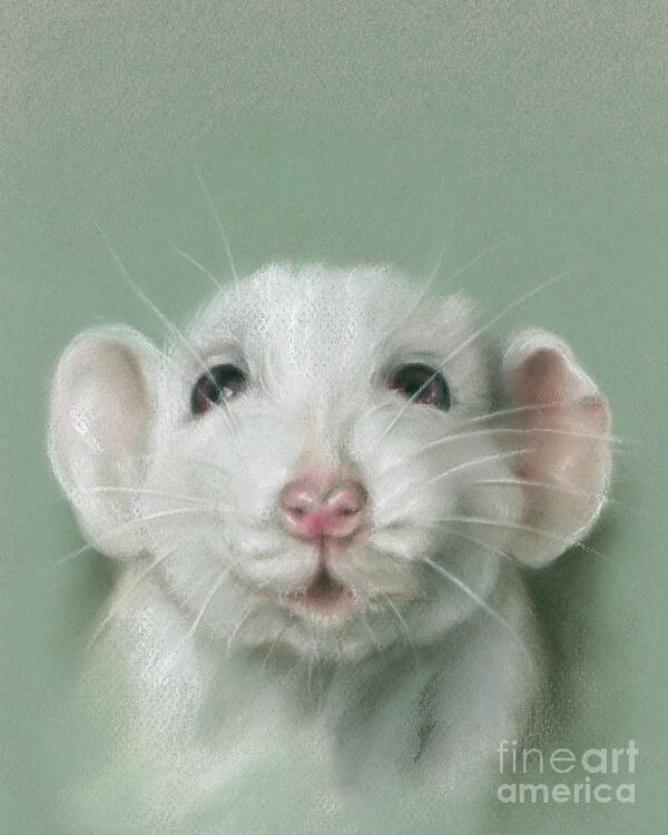 Animal Art Print featuring the painting Sweet Faced White Rat Portrait by MM Anderson