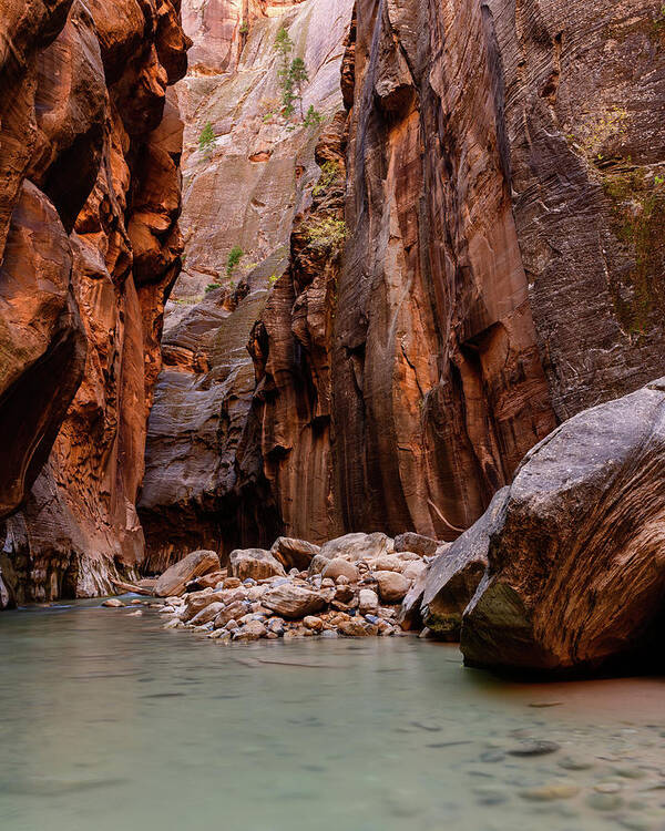Fall Art Print featuring the photograph The Narrows by Michael Scott
