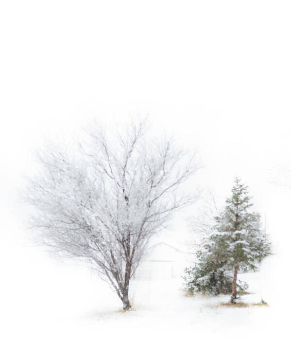 Winter Art Print featuring the photograph The Simply Beauty of Winter by Laura Terriere