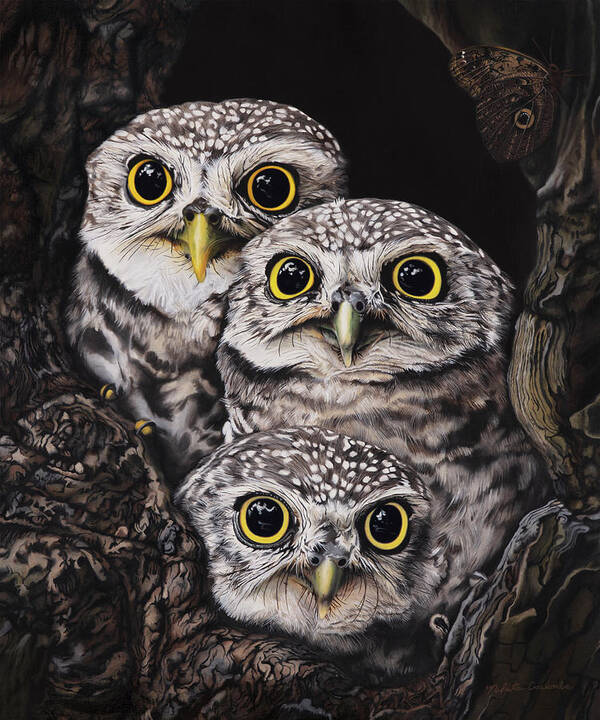 Nikita Coulombe Art Print featuring the painting Three Little Owls by Nikita Coulombe
