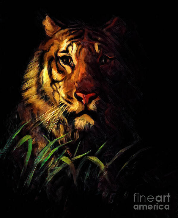 Tiger's Head Art Print featuring the photograph Tiger's Head by Abbott Handerson Thayer by Carlos Diaz