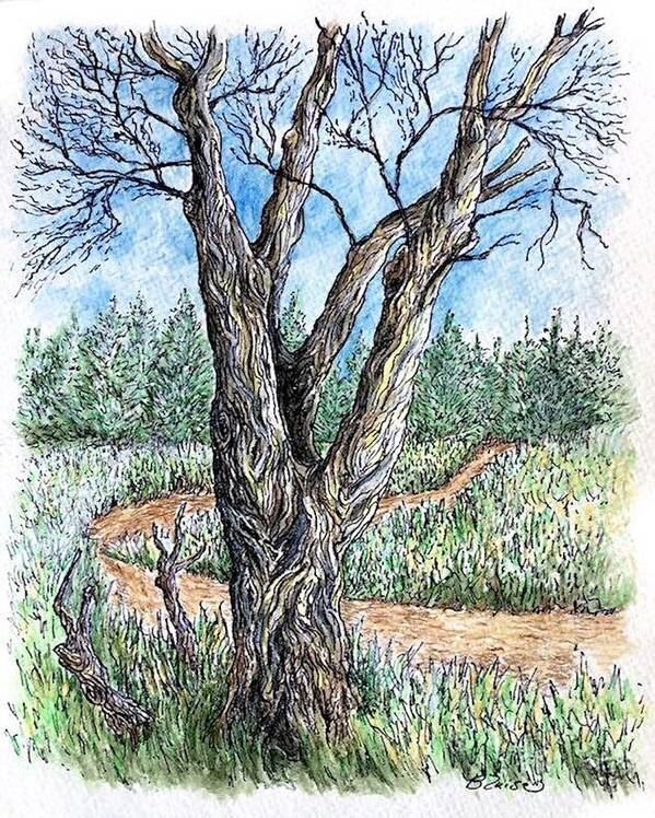 Trees Art Print featuring the mixed media Tree and Trail by Yvonne Blasy