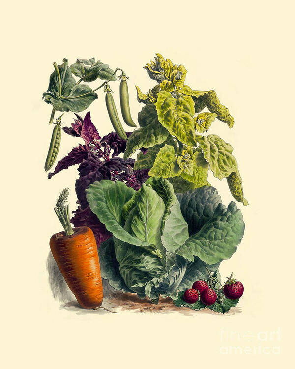 Vegetables Art Print featuring the digital art Veggie Lover by Madame Memento
