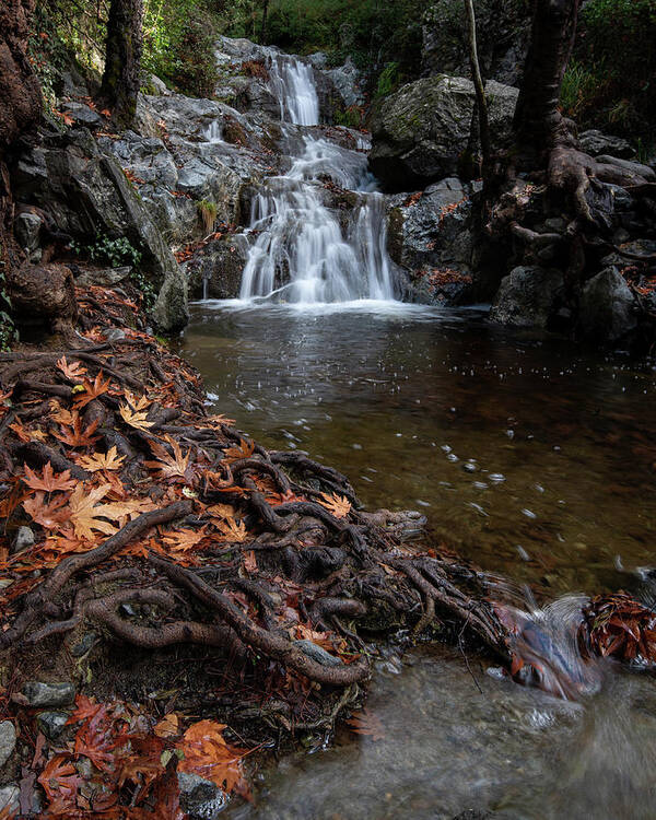Waterfall Art Print featuring the photograph Waterfall in autumn. by Michalakis Ppalis