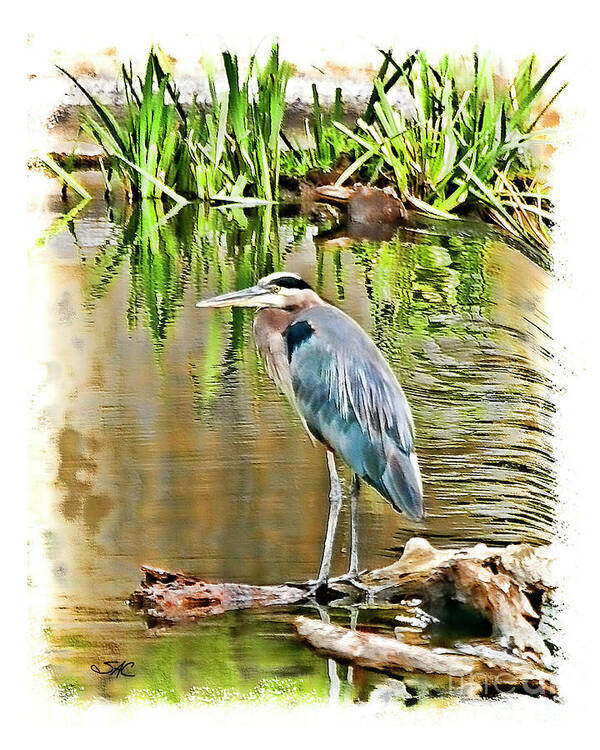 Heron Art Print featuring the digital art West Bend Heron by Stacey Carlson