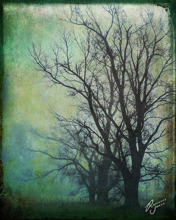 Tree Art Print featuring the photograph Winter Gloom by Roseanne Jones