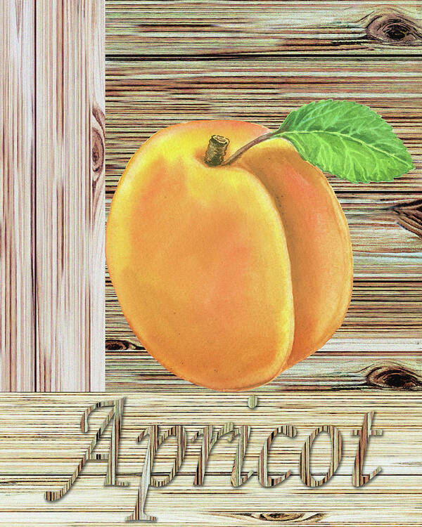 Apricot Art Print featuring the painting Wooden Crate With Organic Apricot Farmers Market Watercolor by Irina Sztukowski