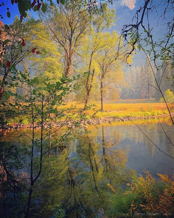 Yosemite Art Print featuring the photograph Yellow mood by Reena Kapoor
