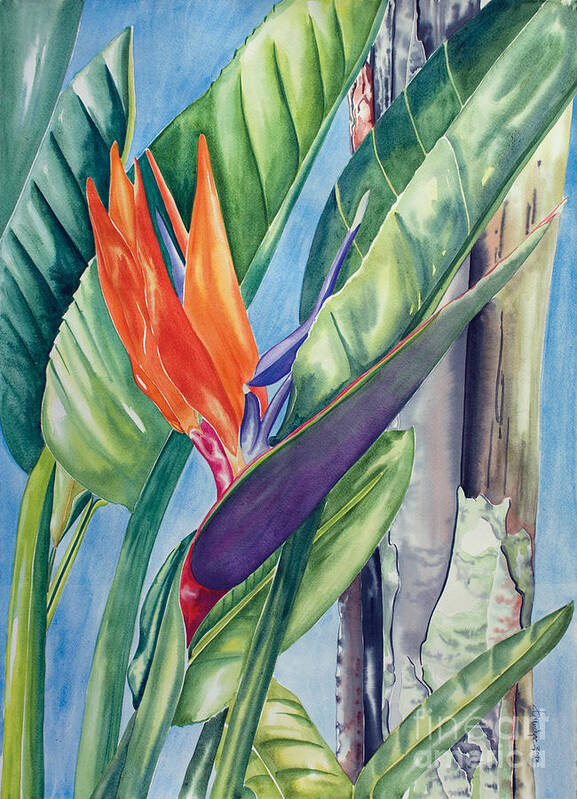 Bird Of Paradise Art Print featuring the painting Beauty and the Beast by Kandyce Waltensperger