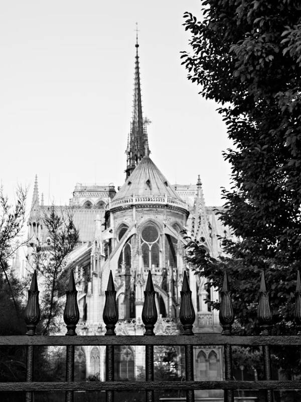 Notre Dame Cathedral Art Print featuring the photograph Notre Dame Cathedral from Behind - Paris #2 by Barry O Carroll