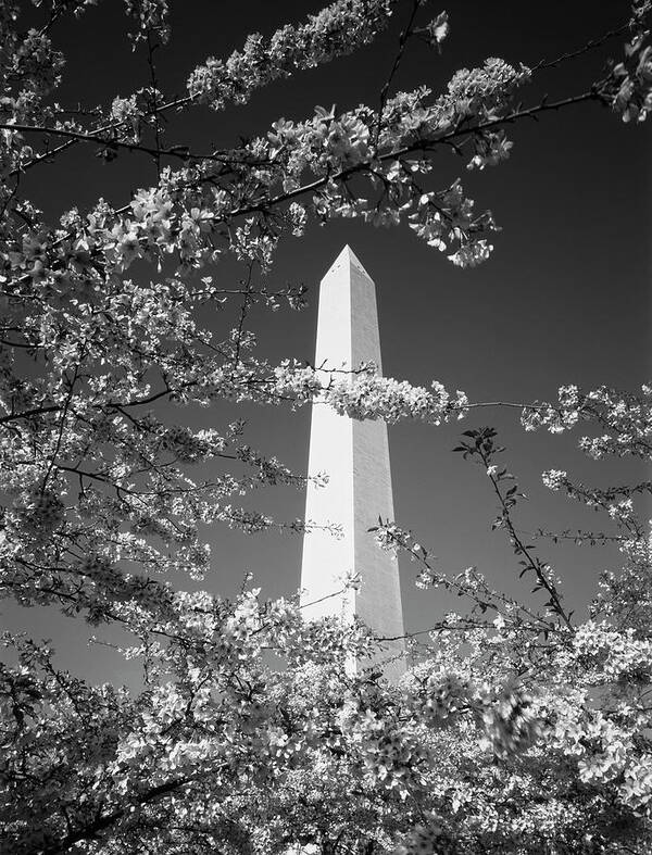Adnt Art Print featuring the photograph USA, Washington Dc, Monument #1 by Scott T. Smith