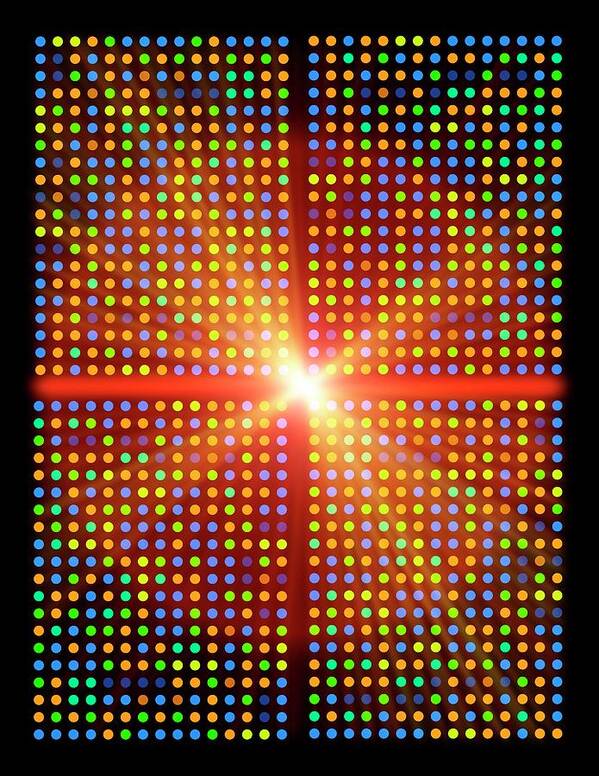 Array Art Print featuring the photograph Dna Microarray #11 by Pasieka