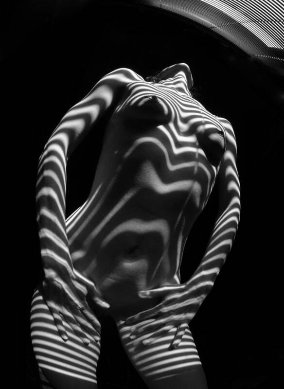 Stripes Art Print featuring the photograph 1573 Zebra Woman Stripe Series  by Chris Maher