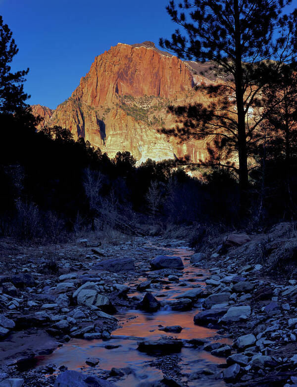 America Art Print featuring the photograph Zion National Park, Utah #22 by Scott T. Smith