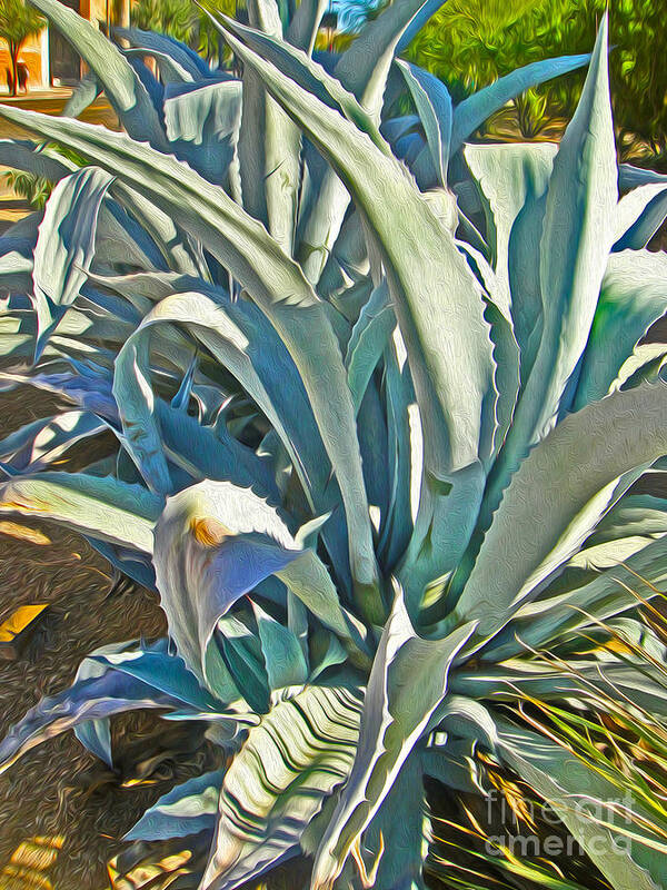 Tucson Art Print featuring the photograph Tucson Arizona Cactus #3 by Gregory Dyer