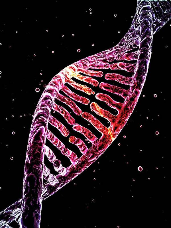 3d Model Art Print featuring the photograph Dna #4 by Alfred Pasieka