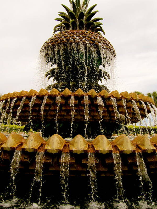 Fountain Art Print featuring the photograph Charleston fountain #5 by Alan Metzger