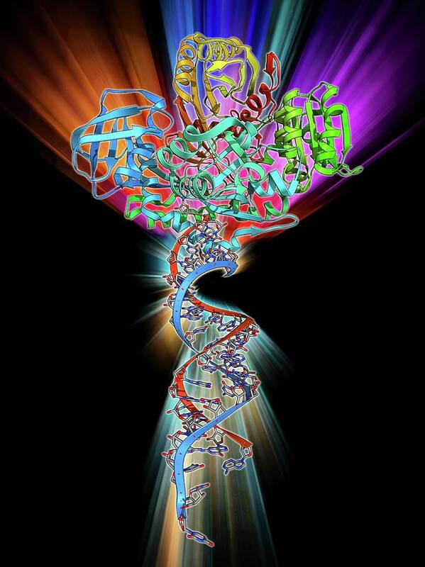 Alpha Helix Art Print featuring the photograph Rna-induced Silencing Complex #6 by Laguna Design