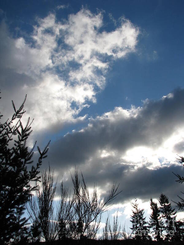 Sky Art Print featuring the photograph A Forever Kind Of Day by Rory Siegel