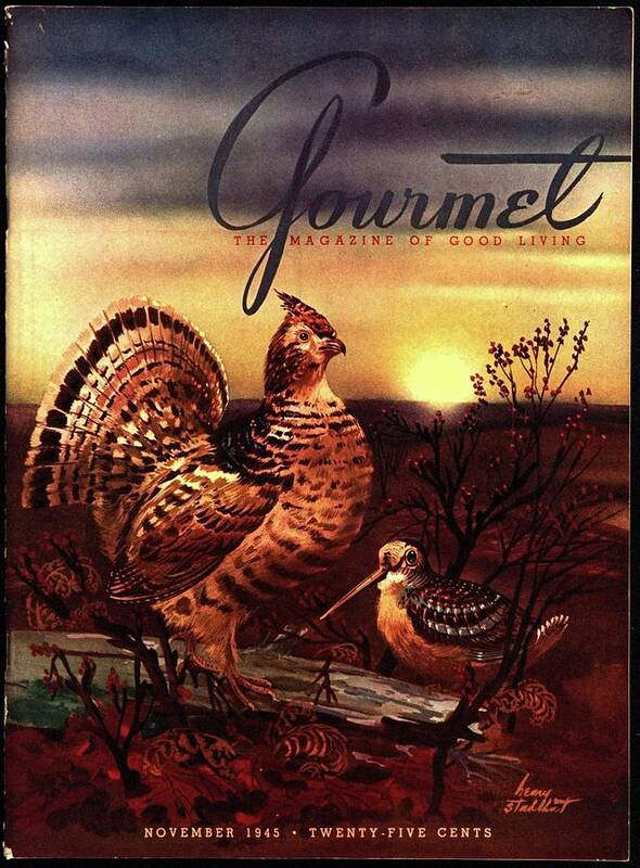 Illustration Art Print featuring the photograph A Gourmet Cover Of A Turkey by Henry Stahlhut