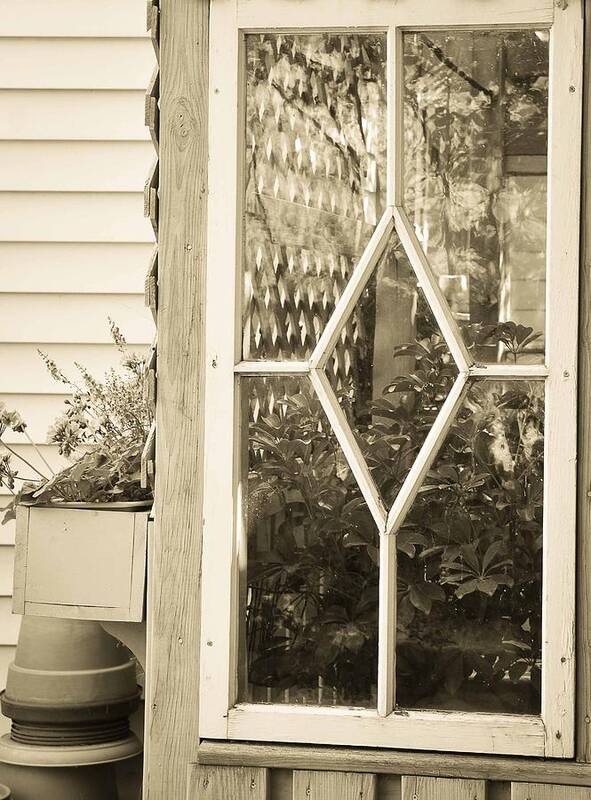 Window Art Print featuring the photograph A Potting Shed by Maria Suhr