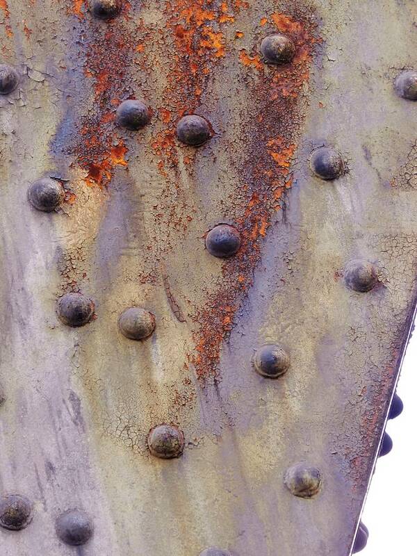 Rust Photographs Art Print featuring the photograph A Touch of Wonder 2 by Charles Lucas