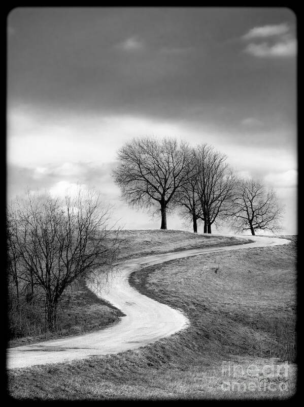 Winding Country Road Art Print featuring the photograph A Winding Country Road in Black and White by Imagery by Charly