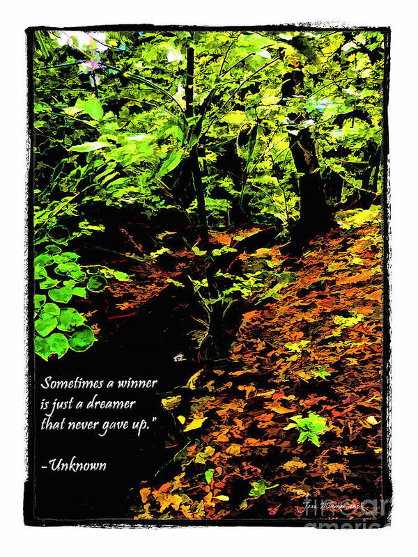 Sometimes A Winner Is Just A Dreamer That Never Gave Up Art Print featuring the photograph A Winner and Dreamer Quote by Joan Minchak