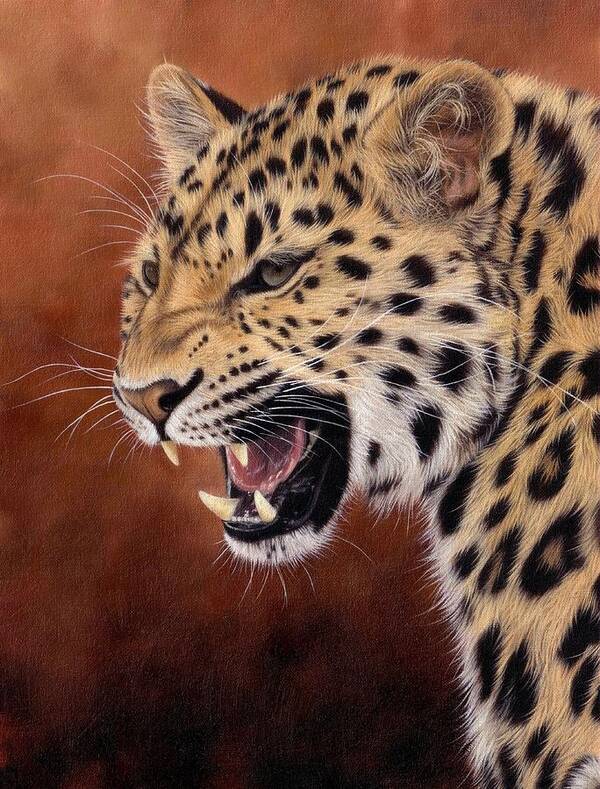 Leopard Art Print featuring the painting Amur Leopard Painting by Rachel Stribbling