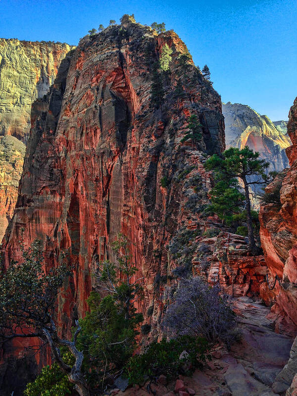 Zion Art Print featuring the photograph Angel's Landing by Chad Dutson