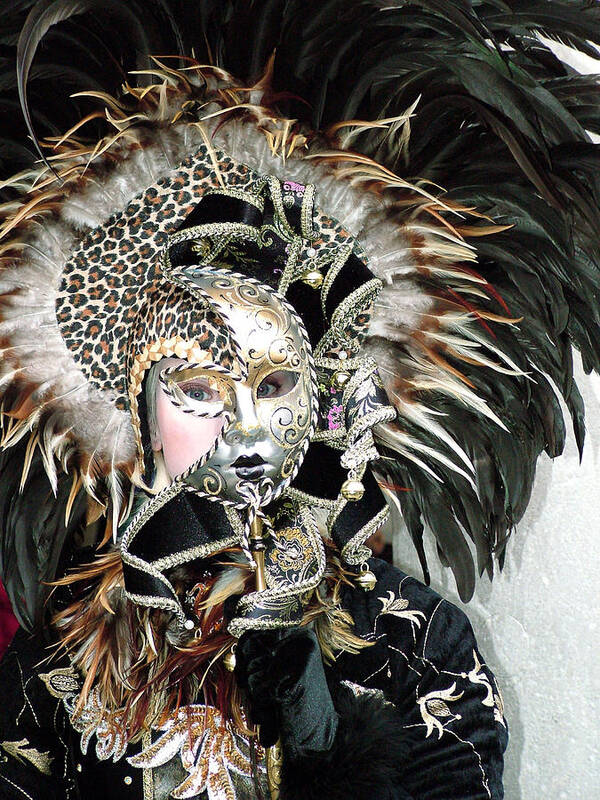 Venice Carnival Art Print featuring the photograph Animal Print Mask by Donna Corless