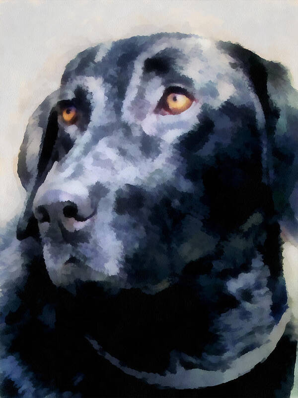 Dog Art Print featuring the digital art animals - dogs - Black Lab by Ann Powell