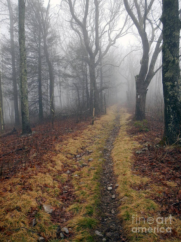 At Art Print featuring the photograph Appalachian Trail Fog by Glenn Gordon