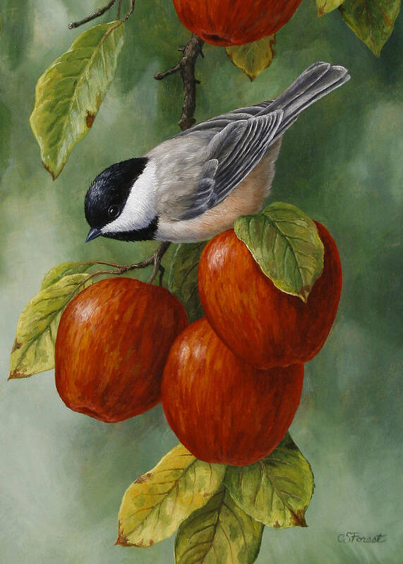 Bird Art Print featuring the painting Apple Chickadee Greeting Card 3 by Crista Forest