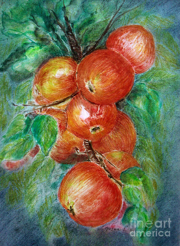 Fruits Art Print featuring the painting Apples by Jasna Dragun