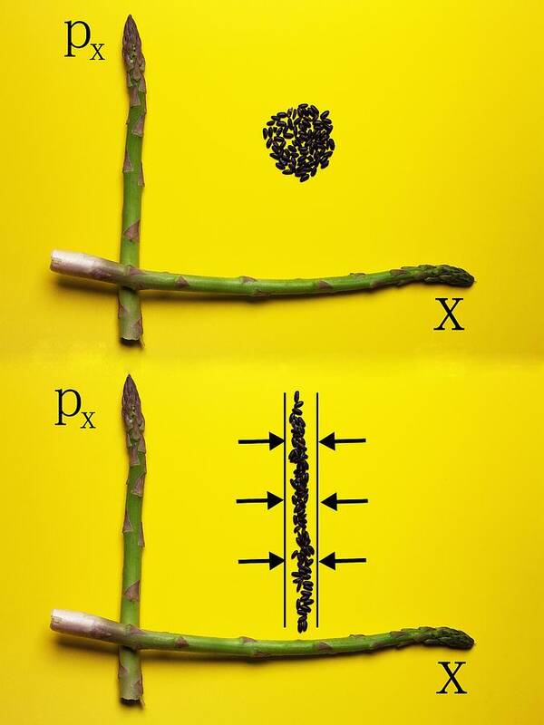 Asparagus Art Print featuring the photograph Asparagus and black rice depicting Heisenberg Uncertainty food physics by Paul Ge