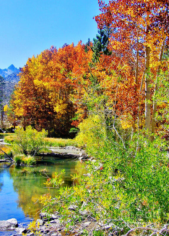 Autumn Art Print featuring the photograph Autumn Days by Marilyn Diaz