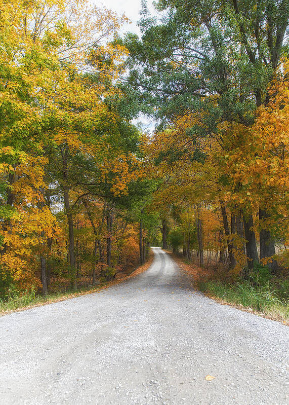 Autumn Trees Art Print featuring the photograph Autumn Entrance by Bill and Linda Tiepelman