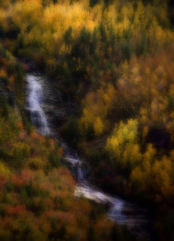 Colorado Art Print featuring the photograph Autumn Forest Falls by Ellen Heaverlo