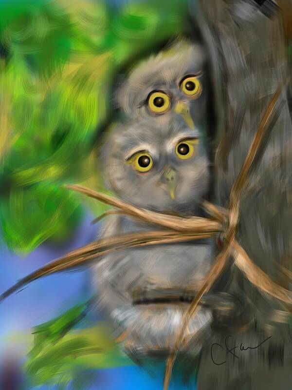 Animals Art Print featuring the digital art Baby Owls by Christine Fournier
