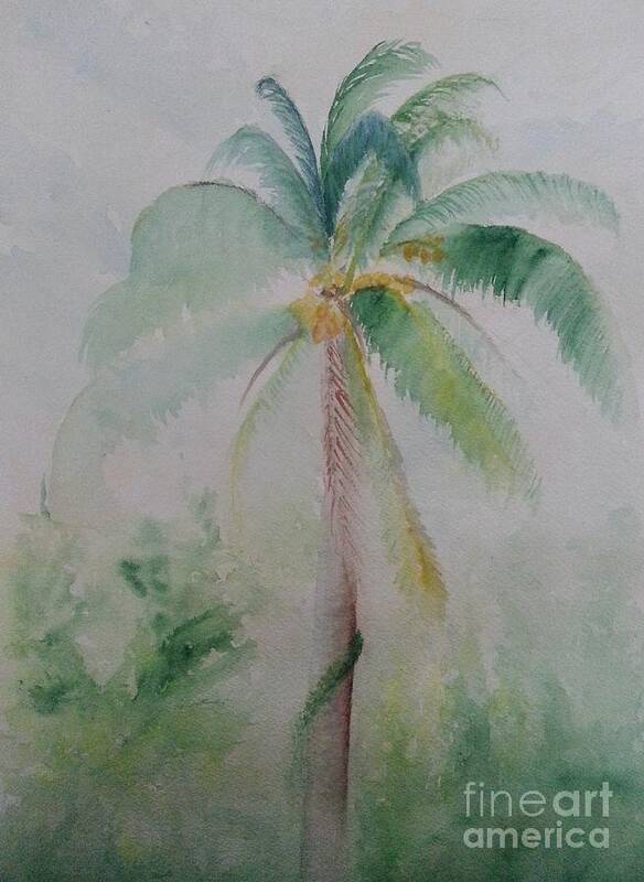 Plein Air Coconut Tree Art Print featuring the painting Backyard Coconut Tree by Jerome Wilson
