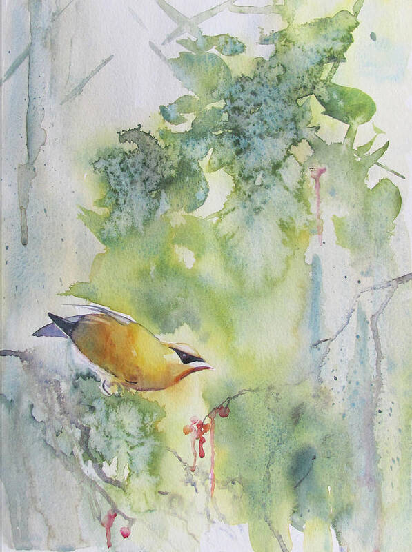 Bird Art Print featuring the painting Cedar Waxwing by Amanda Amend