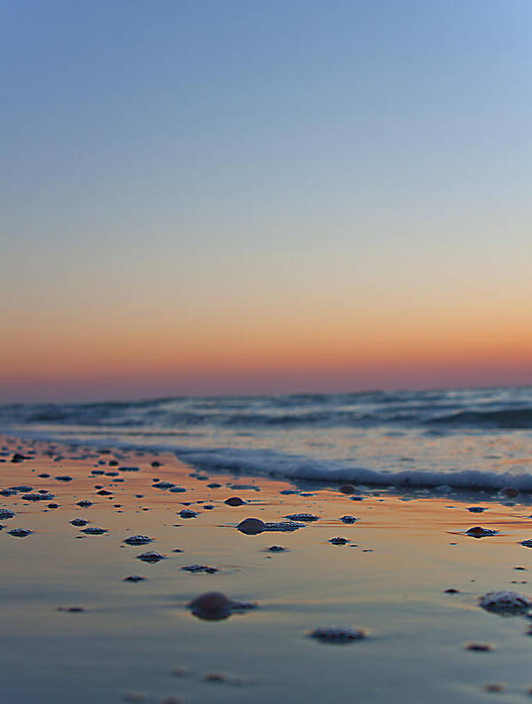 Sunset Art Print featuring the photograph Beach Sunset by Dart Humeston