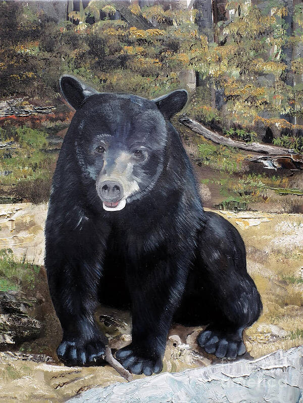Black Bear Art Print featuring the painting Bear - Wildlife Art - Ursus americanus by Jan Dappen